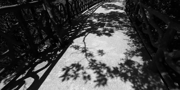 The Path of Light Gap 2