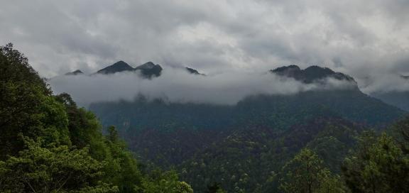 Yunshan Foggy Sea 11
