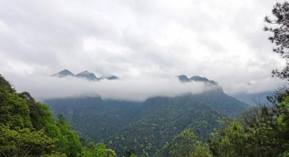 Yunshan Foggy Sea 12