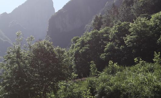 Beautiful mountains and rivers 10