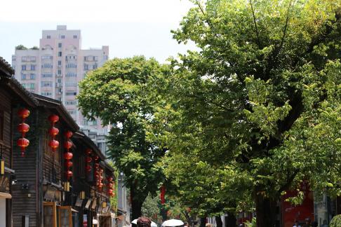 Red lanterns over the city
