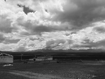 Yunmu Green Field 43