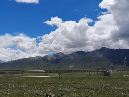 Yunmu Green Field 33