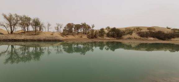 Shallow pond reflecting autumn 11