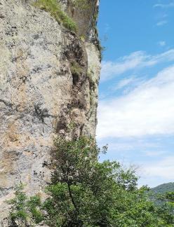 Green Wilderness and Tranquility 33