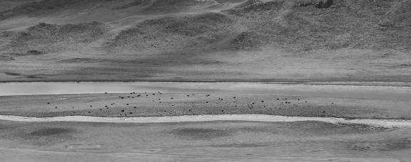 Towards the Far River 6