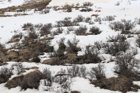 Empty field white painting 13