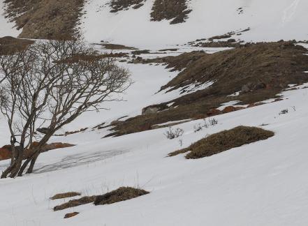 Empty field white painting 15