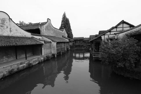 Singing on the green waves 17