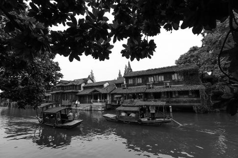 Singing on the green waves 19