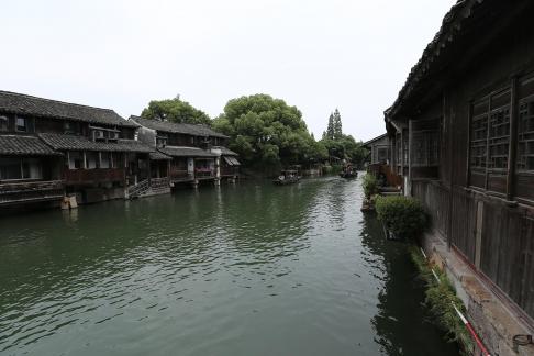 Singing on the green waves 30