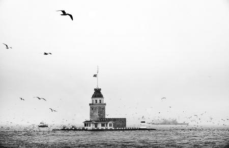 BWMTower2026