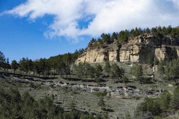 In the vicinity of Kislovodsk