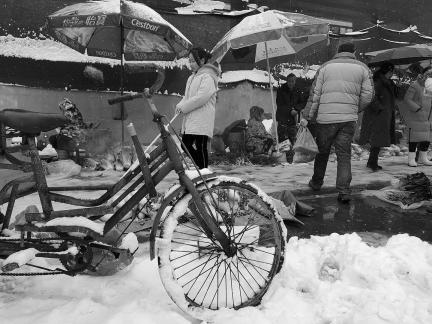 Snowy scenery 39