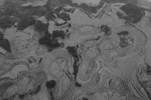 The Poetry of the Earth 50