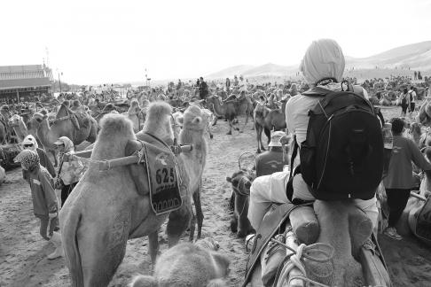 Desert Journey 33