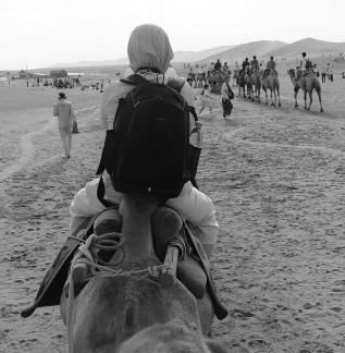Desert Journey 35
