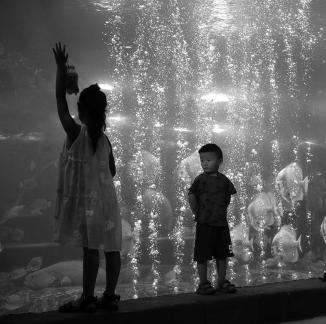 Aquarium Tour 20