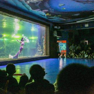 Aquarium Tour 29
