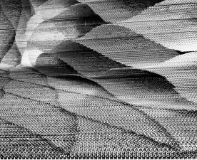 Cloth