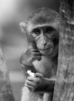 Contemplation