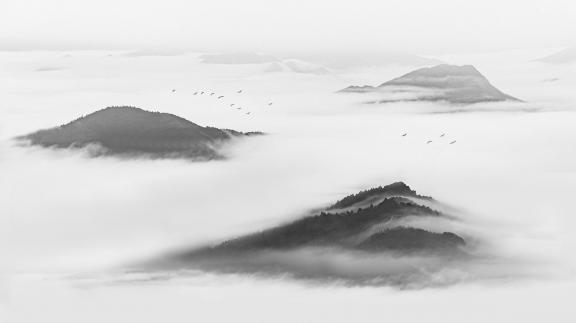 Zhangjiajie in the sea of clouds 2