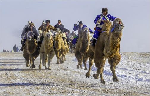 Camel Race 66