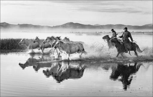 Horses in Water 94