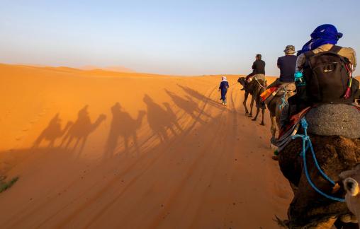 Riding the Camels 01