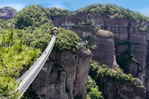 Canopy Walkway