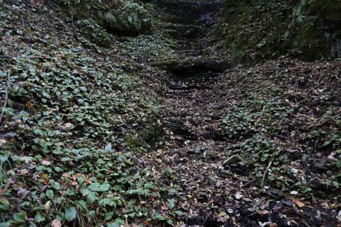 In the mountains and forests 5