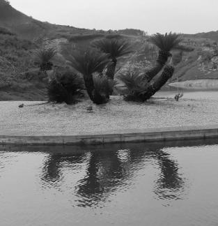 Green bank red rock 4