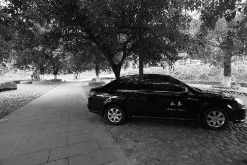 Under the shade parking