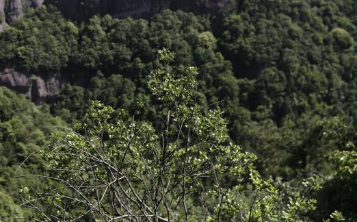 Beautiful mountains and rivers 25