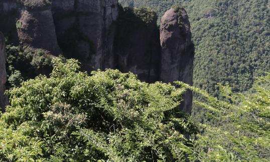 Beautiful mountains and rivers 26