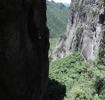 Green between cliffs 3