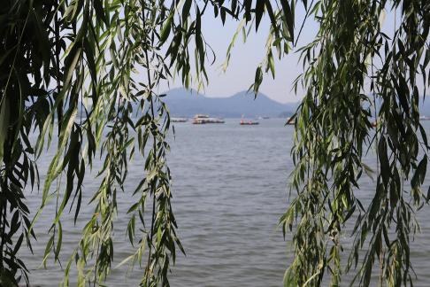 Lake light overlapping dreams 5