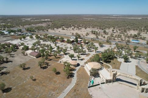 Desert becomes forest 4