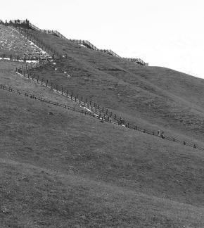 Cuiling Wooden Stack