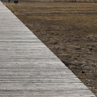 Wilderness leads the way 1