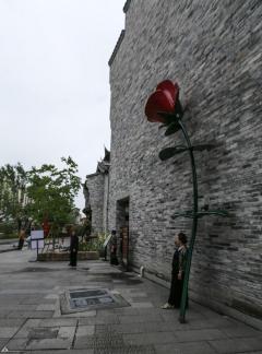 Brick Shadow Red Rose 1