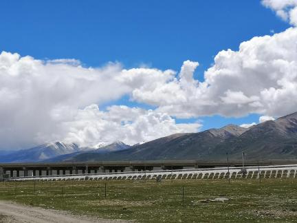 Yunmu Green Field 53