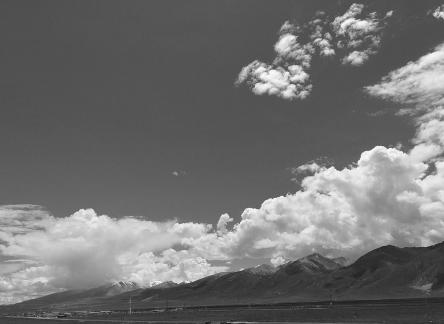 Yunmu Green Field 56