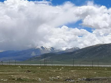 Yunmu Green Field 50