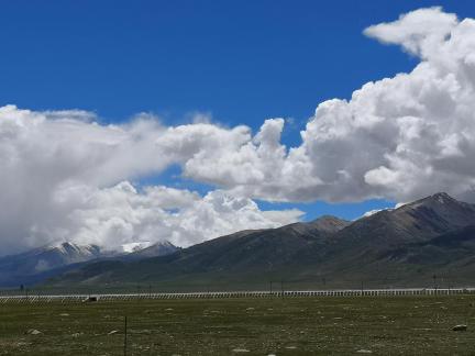 Yunmu Green Field 51