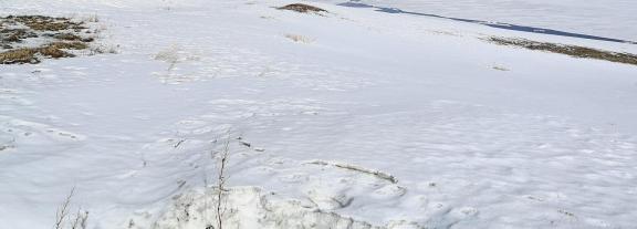 Snow Sleeping Mirror Lake 11