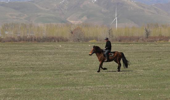 Grassland horse ranch 23