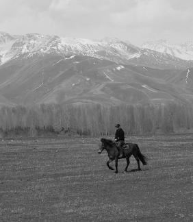 Grassland horse ranch 20