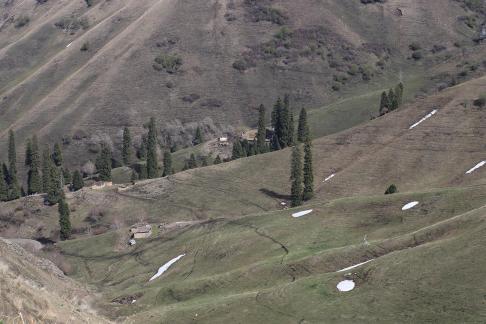 Snowy Ridge Pine Plains 27