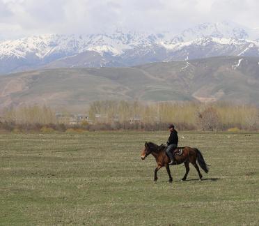 Grassland horse ranch 25